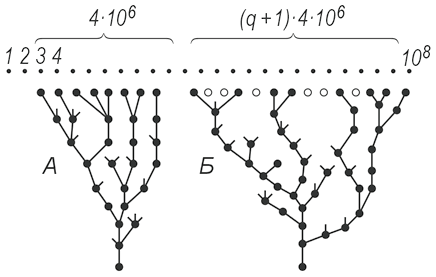    4x10^6 